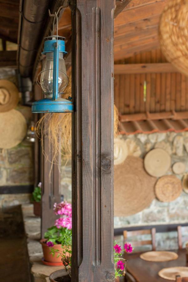 Villa Sol Sunny Beach Exterior foto